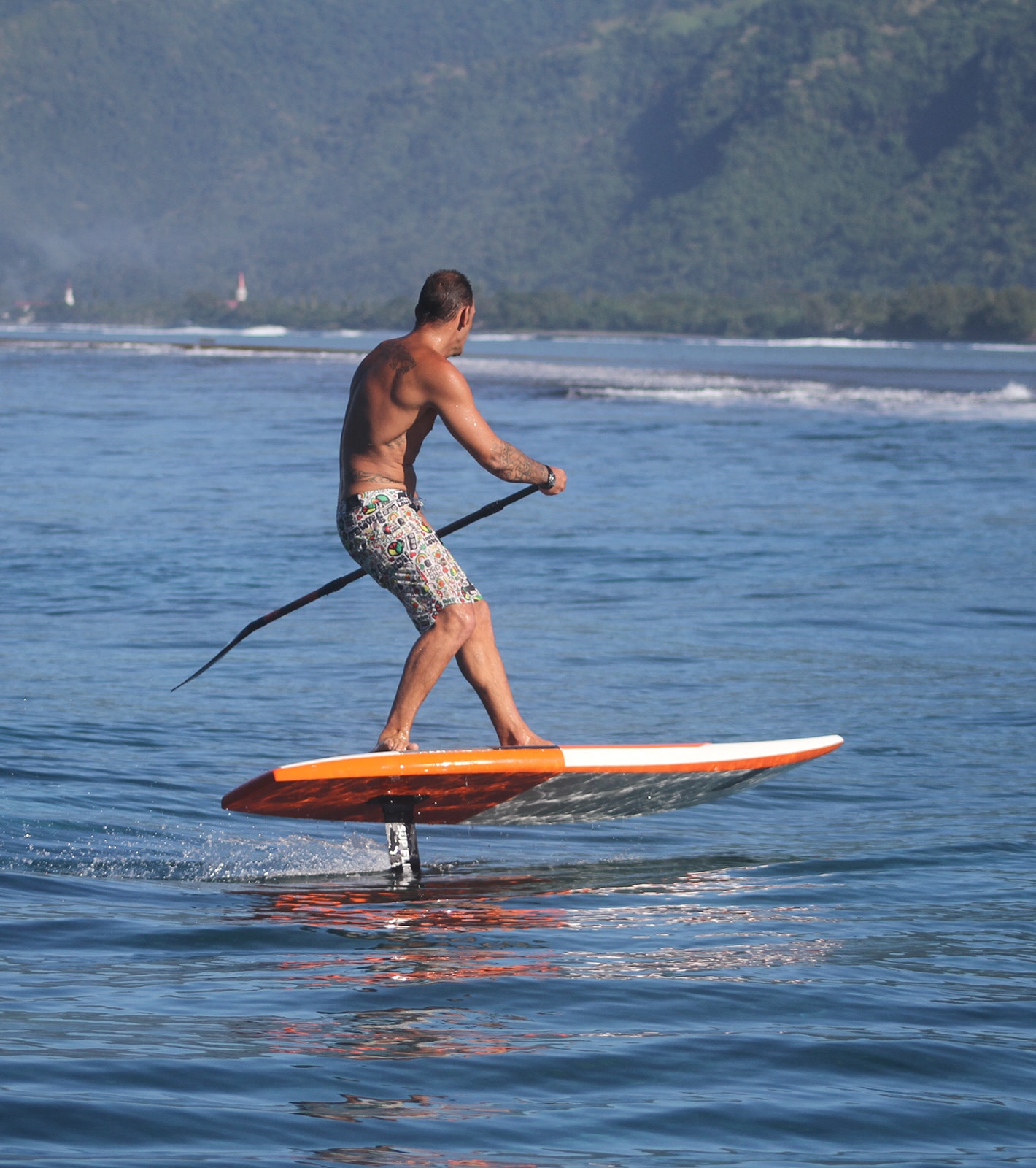 SUP. WINDSURFING